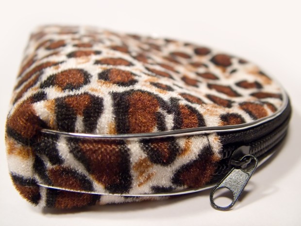 dreamstimefree_272412